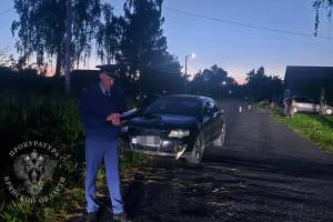 В Гордеевке водитель иномарки насмерть сбил выбежавшую на дорогу 4-летнюю девочку