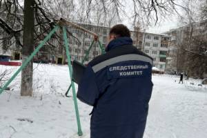 В Брянске осудят экс-директора УК за покалеченную на качелях девочку