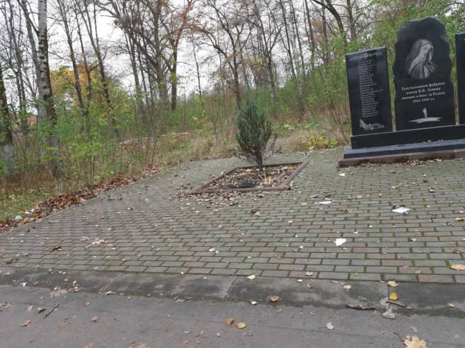 В Клинцах заметили грязь и мусор на воинском мемориале