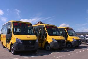 Для школ Брянской области дополнительно закупят 42 новых автобуса