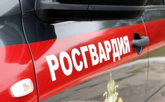 В Брянске 27-летний уголовник обокрал торговый центр на проспекте Московском