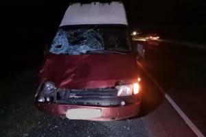 На брянской трассе водитель иномарки сбил насмерть мужчину