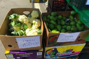 Брянцы за первый день работы ярмарок купили 22,9 тонн овощей и фруктов