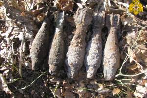 В поле возле брянского села нашли пять минометных мин