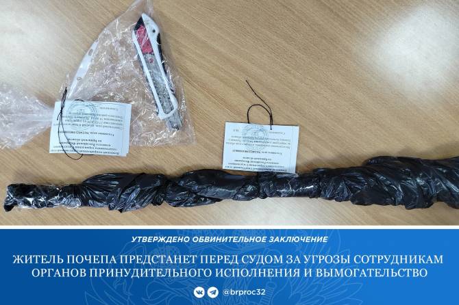 Житель Почепского района напал с ножом и монтировкой на судебных приставов
