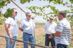 Брянский губернатор Богомаз проведал винодельню в Крыму
