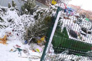В Брянске десятки ёлок после Нового года попали на помойку