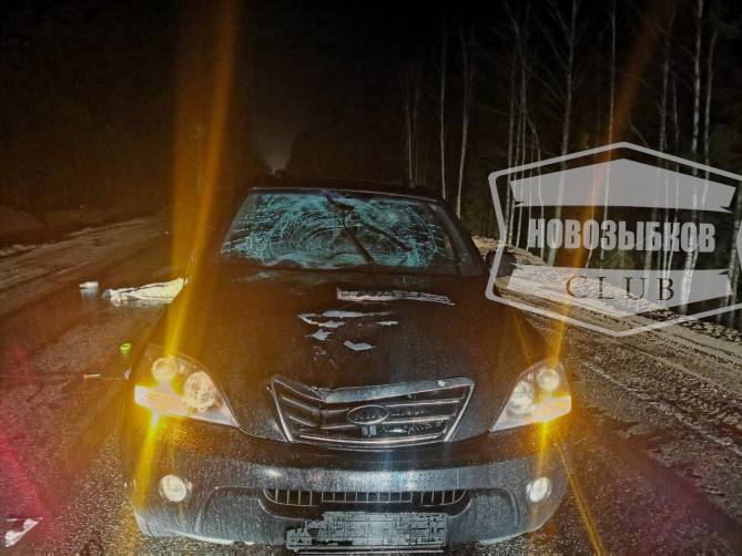 На брянской трассе водитель Kia насмерть сбил пешехода
