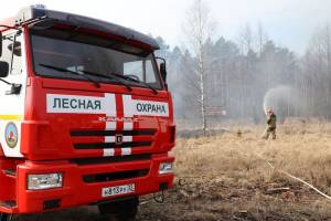 В лесах Брянской области с 18 апреля начнется пожароопасный сезон