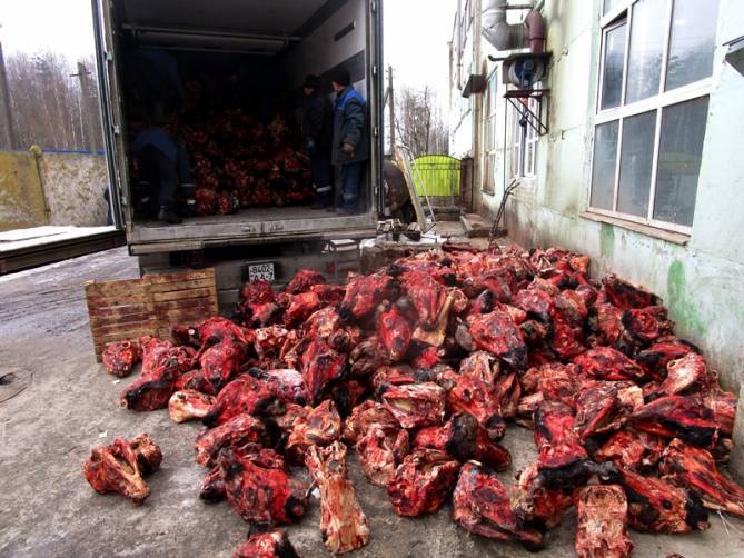 В Брянской области уничтожили 22 тонны говяжьих голов
