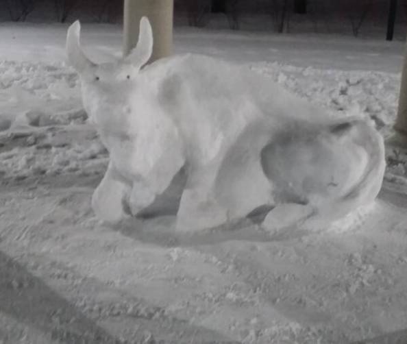 В брянском поселке Белые Берега поселился снежный бык