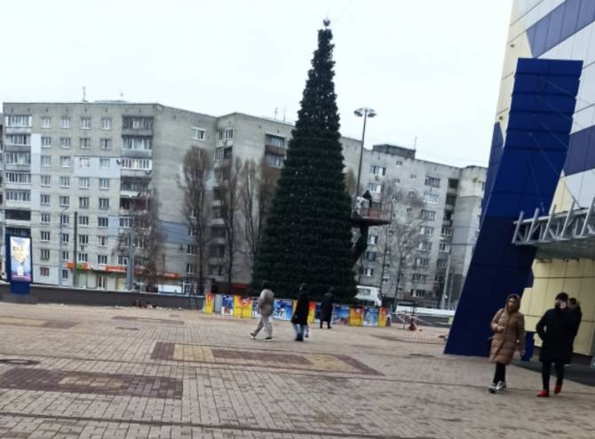 В Брянске у ТРЦ «БУМ-сити» установили новогоднюю елку