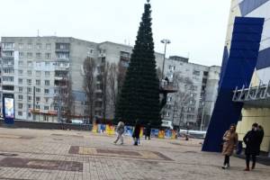 В Брянске у ТРЦ «БУМ-сити» установили новогоднюю елку