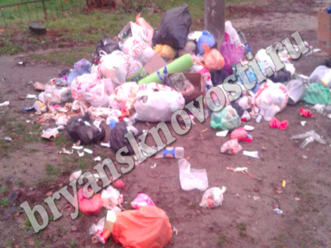 Жители Новозыбкова пожаловались на огромную свалку