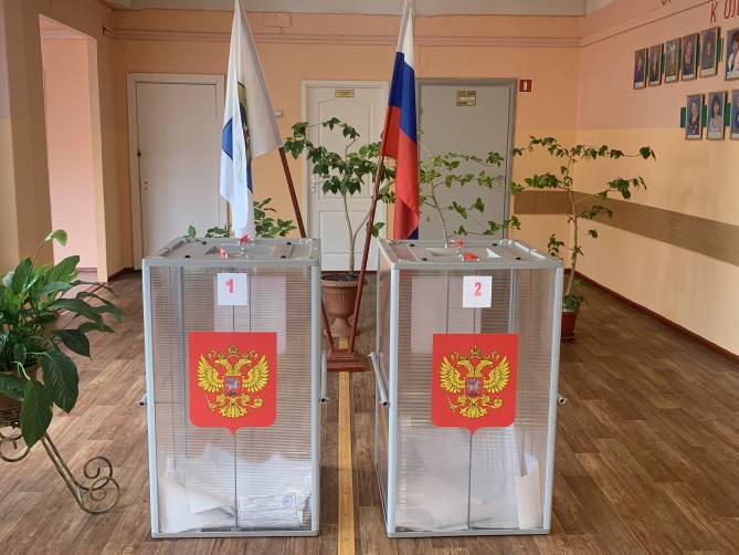 В Бежицком районе Брянска 24 и 25 июня пройдут допвыборы депутата облдумы