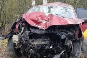 Брянским спасателям пришлось «вырезать» пострадавшего из автомобиля
