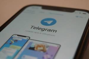 Для брянцев открыли телеграм-канал по экономическим вопросам