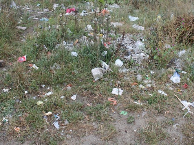 ОНФ нашел в Брянске «непонятное безобразие» и горы мусора
