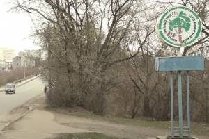 21 несбывшееся обещание: Судки в Брянске превратятся в парковую зону