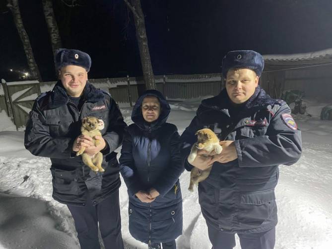 Брянские полицейские спасли брошенных на морозе щенков