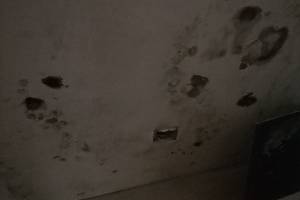 В Брянске квартиры пятиэтажки покрылись плесенью из-за лютого холода