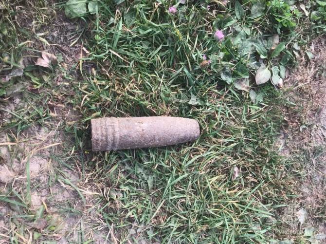 В лесу под Брасово нашли артиллерийский снаряд