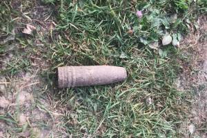 В лесу под Брасово нашли артиллерийский снаряд