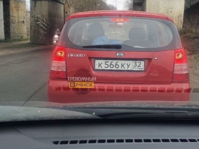 В Дятьково нарушитель ПДД разглядел собаку за рулем