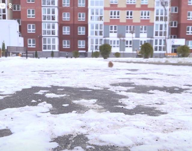 В Брянске три управляющие компании накажут за снег во дворах