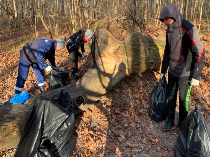 В Брянске очистили от мусора лес «Заставище»