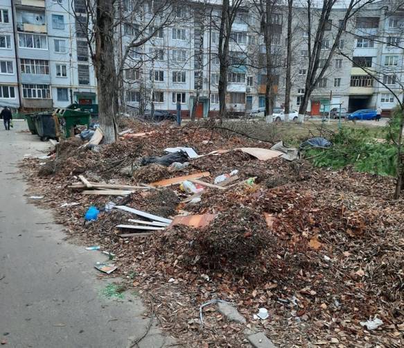 В Брянске наказали УК за гигантскую свалку на улице Орловской