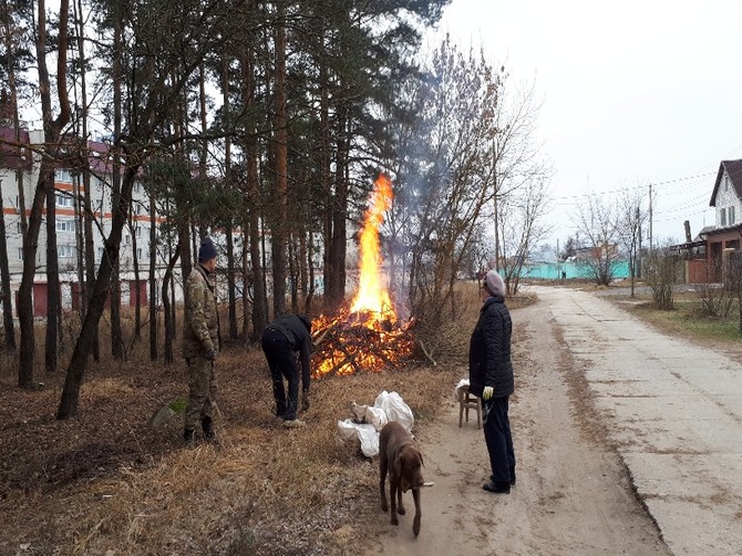 В Брянске очистили от мусора лес у переулка Уральского