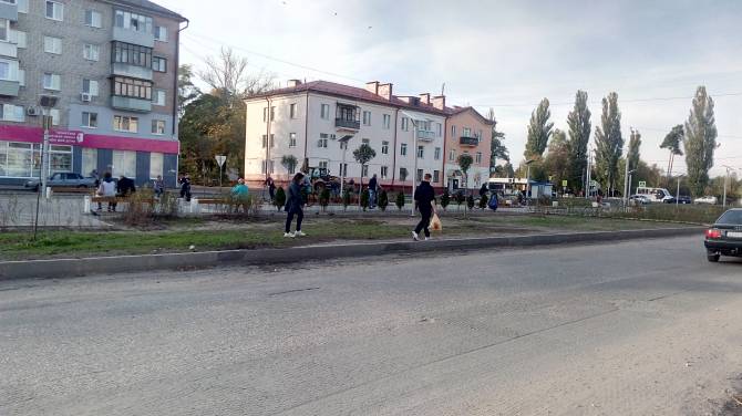 В Брянске новые газоны сквера «Литий» уничтожили пешеходы