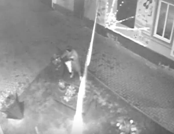 В Новозыбкове женщина украла с клумбы петунии возле магазина