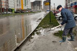 Брянцы призвали мэра Макарова надеть резиновые сапоги