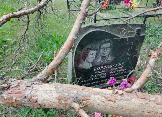 Под Новозыбковом дерево обрушилось на могилы кладбища