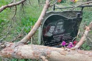 Под Новозыбковом дерево обрушилось на могилы кладбища