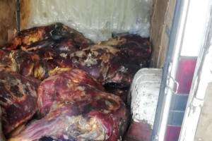 В Брянской области уничтожили 220 кг сомнительной говядины