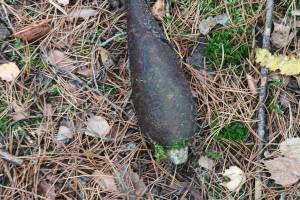 В Брянской области нашли две миномётные мины