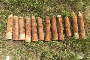 В Клинцовском районе нашли 12 артиллерийских снарядов
