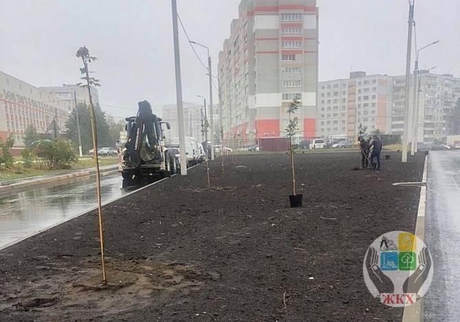 В Брянске на улице Тельмана приступили к устройству газонов и озеленению
