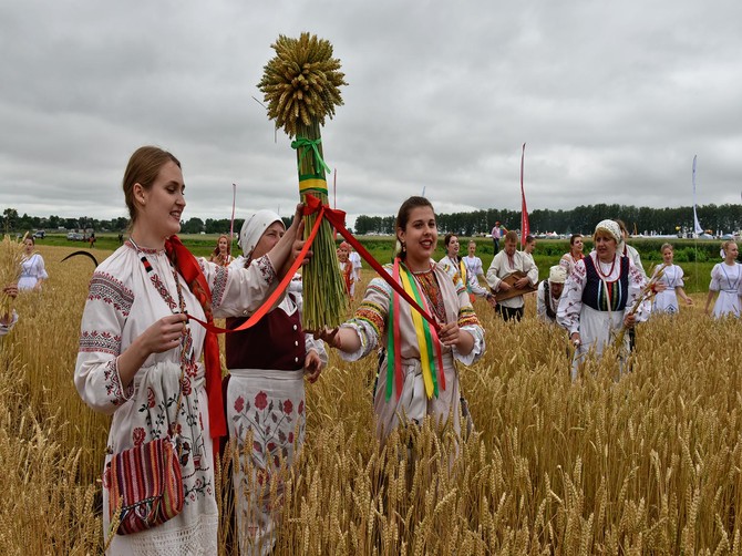 Богатых урожаев и достойной прибыли: брянских аграриев поздравили с праздником