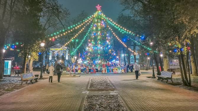 В Брянске нарядили главную городскую ёлку