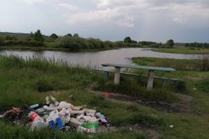 В Новозыбкове свиньи оставили мусорную свалку на берегу Ипути