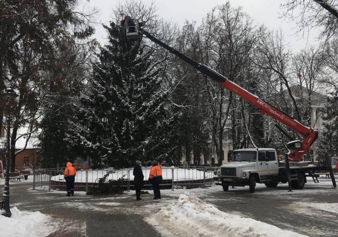 В Брянске начали украшать главную новогоднюю ёлку