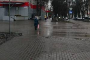 В Брянске сняли на фото пешеходов-камикадзе возле БГТУ
