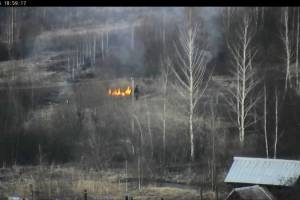 В Карачевском районе поджог сухой травы попал на видео