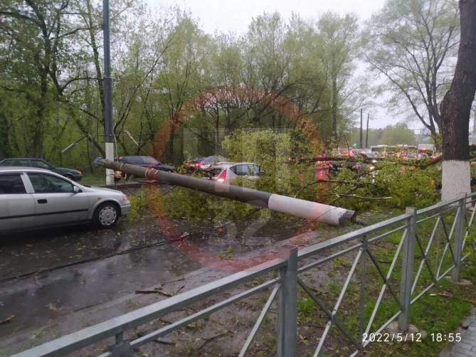В Брянске на бульваре Щорса рухнувшие столб и дерево взяли в тиски легковушку