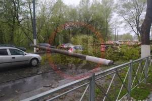 В Брянске на бульваре Щорса рухнувшие столб и дерево взяли в тиски легковушку