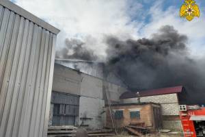 В Почепе произошёл крупный пожар на пилораме